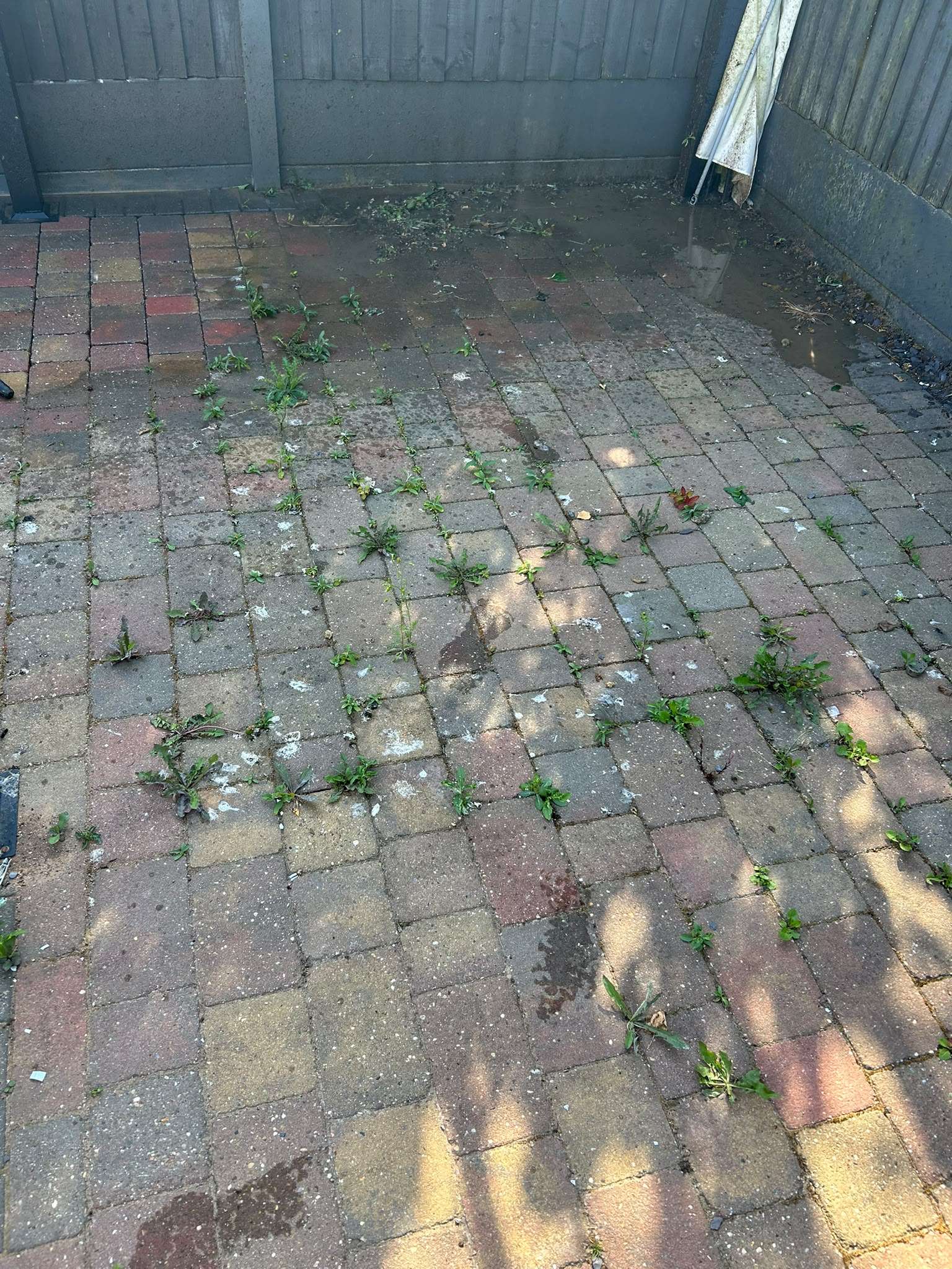 Before cleaning