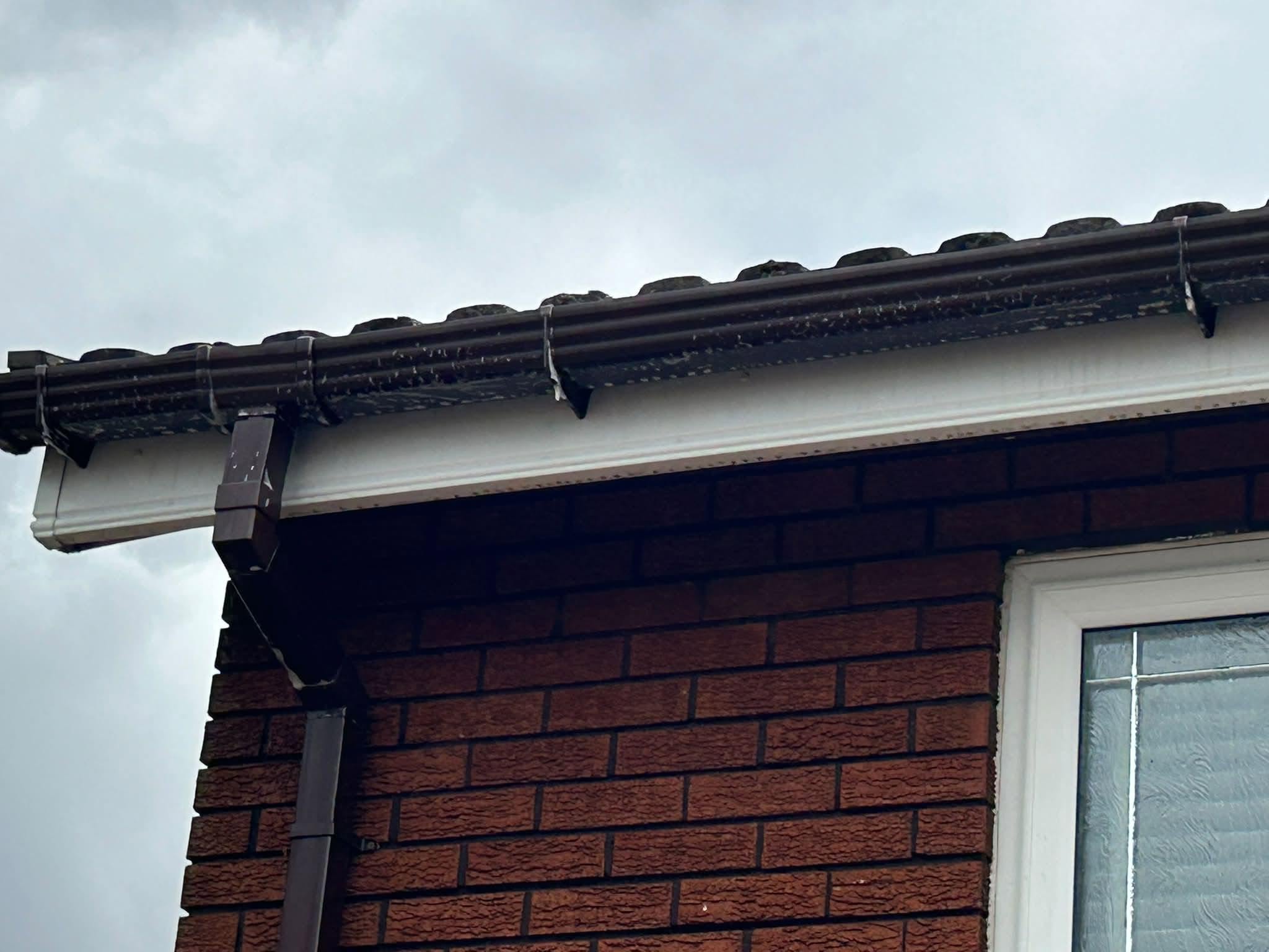 Exterior cleaning project