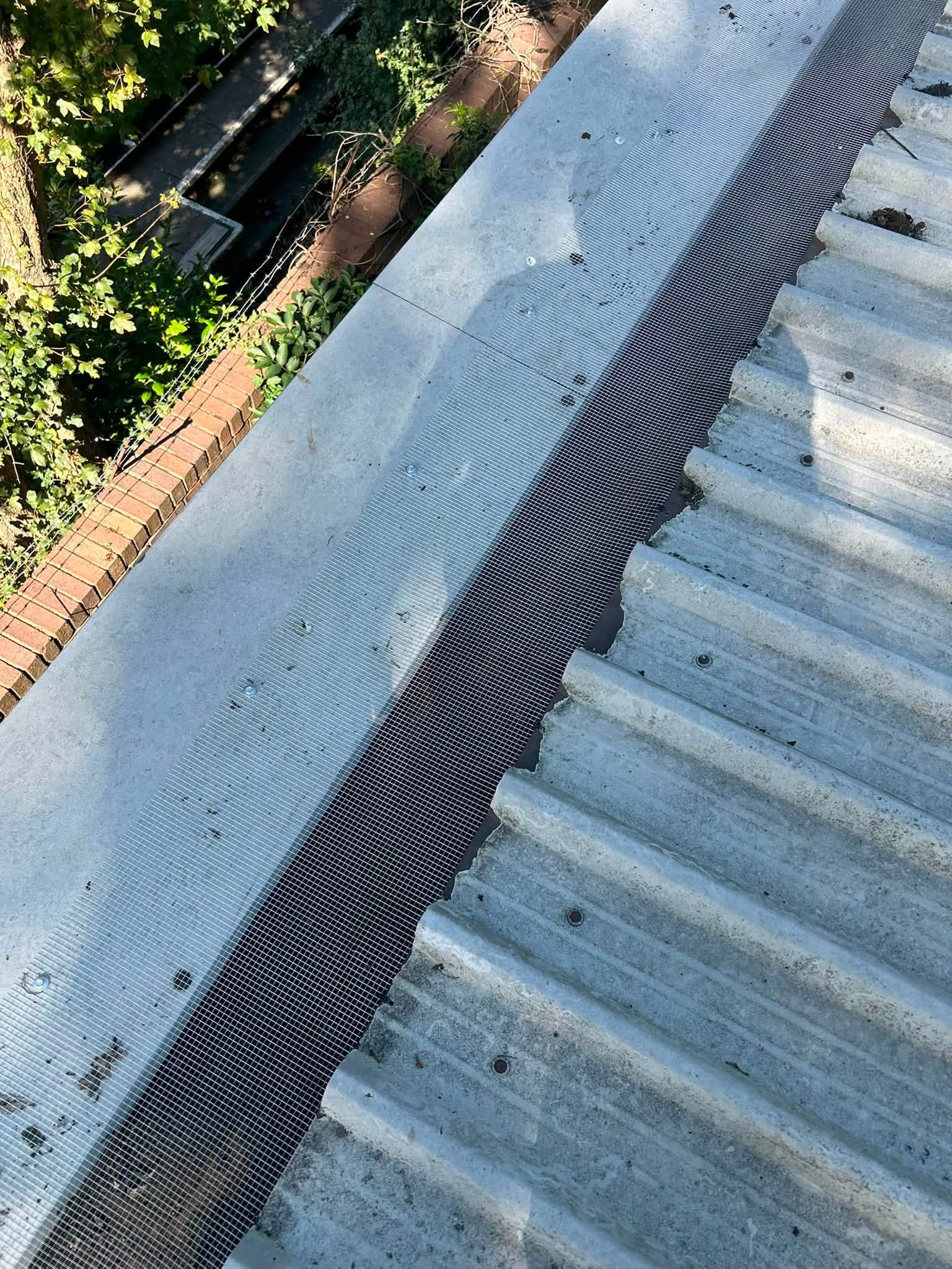 Exterior cleaning project