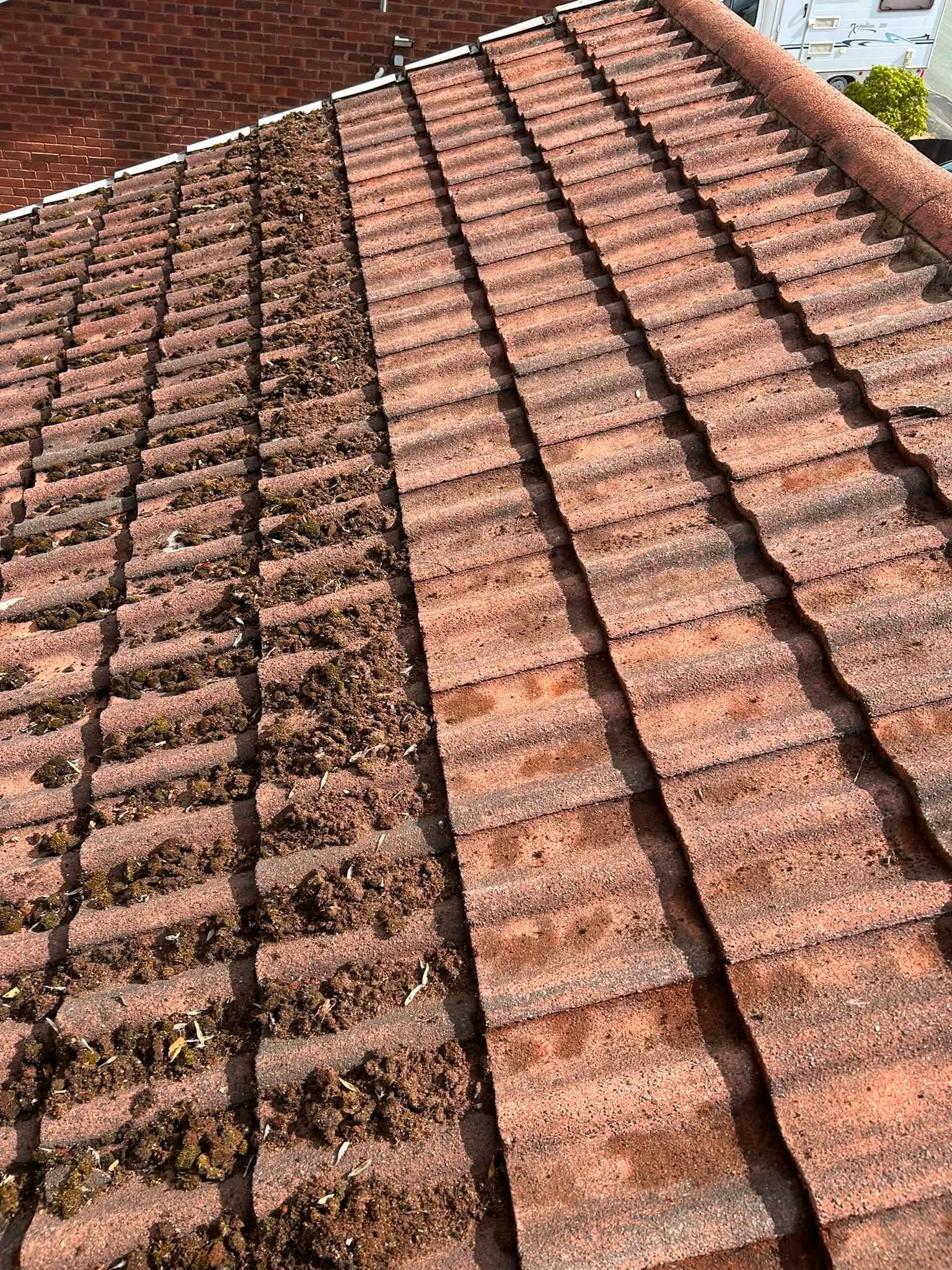 Roof tiles cleared of moss, showing a clear before and after split